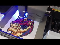 شاشة عرض الفيلم